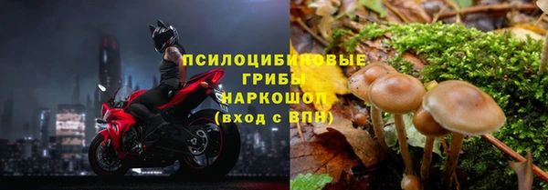 прущая мука Волоколамск