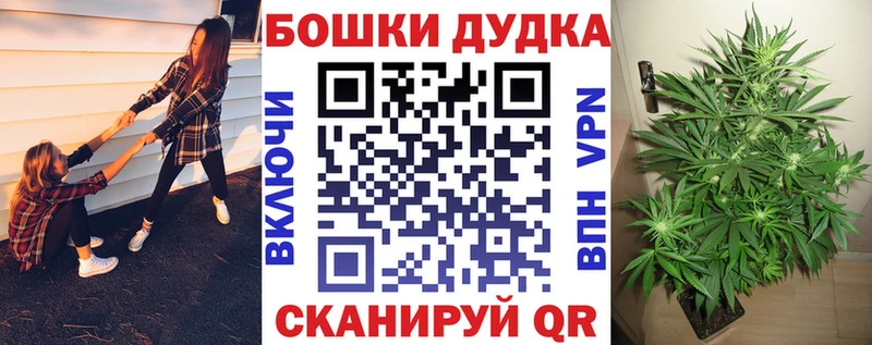 Купить закладки  Покров  Канабис VHQ 